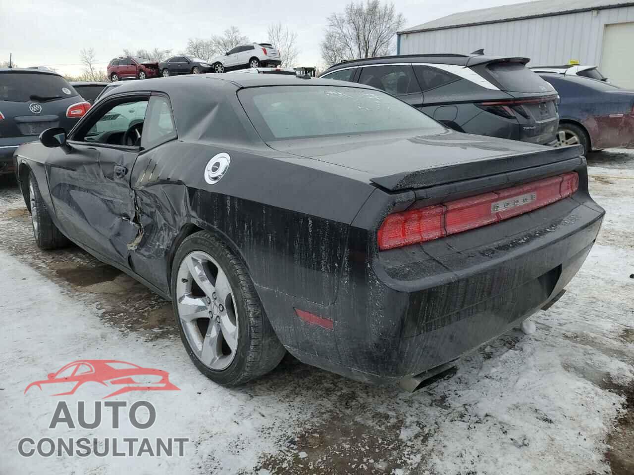 DODGE CHALLENGER 2013 - 2C3CDYBT2DH510606