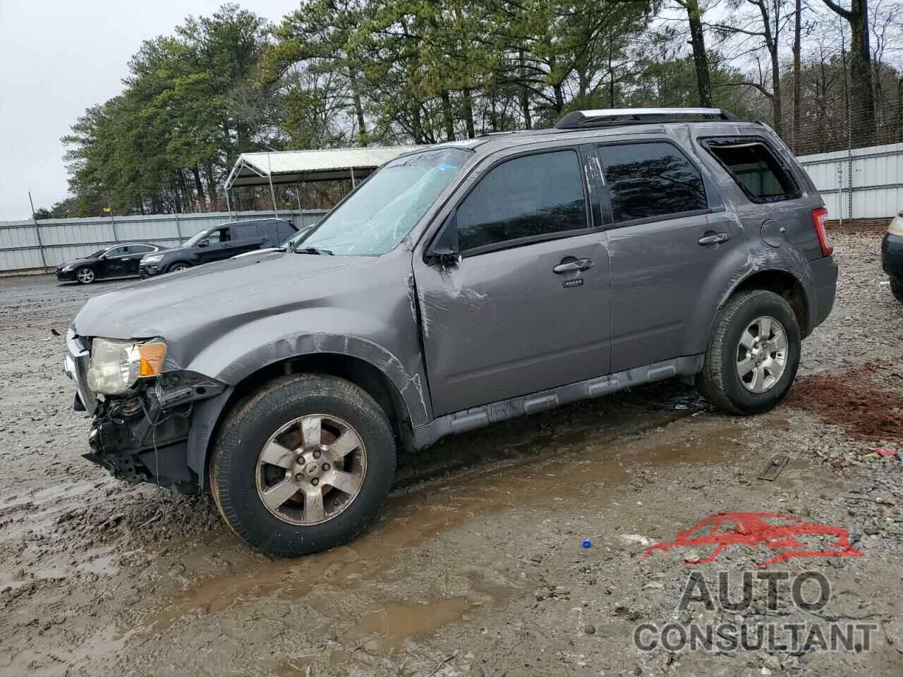 FORD ESCAPE 2011 - 1FMCU0EGXBKC19493