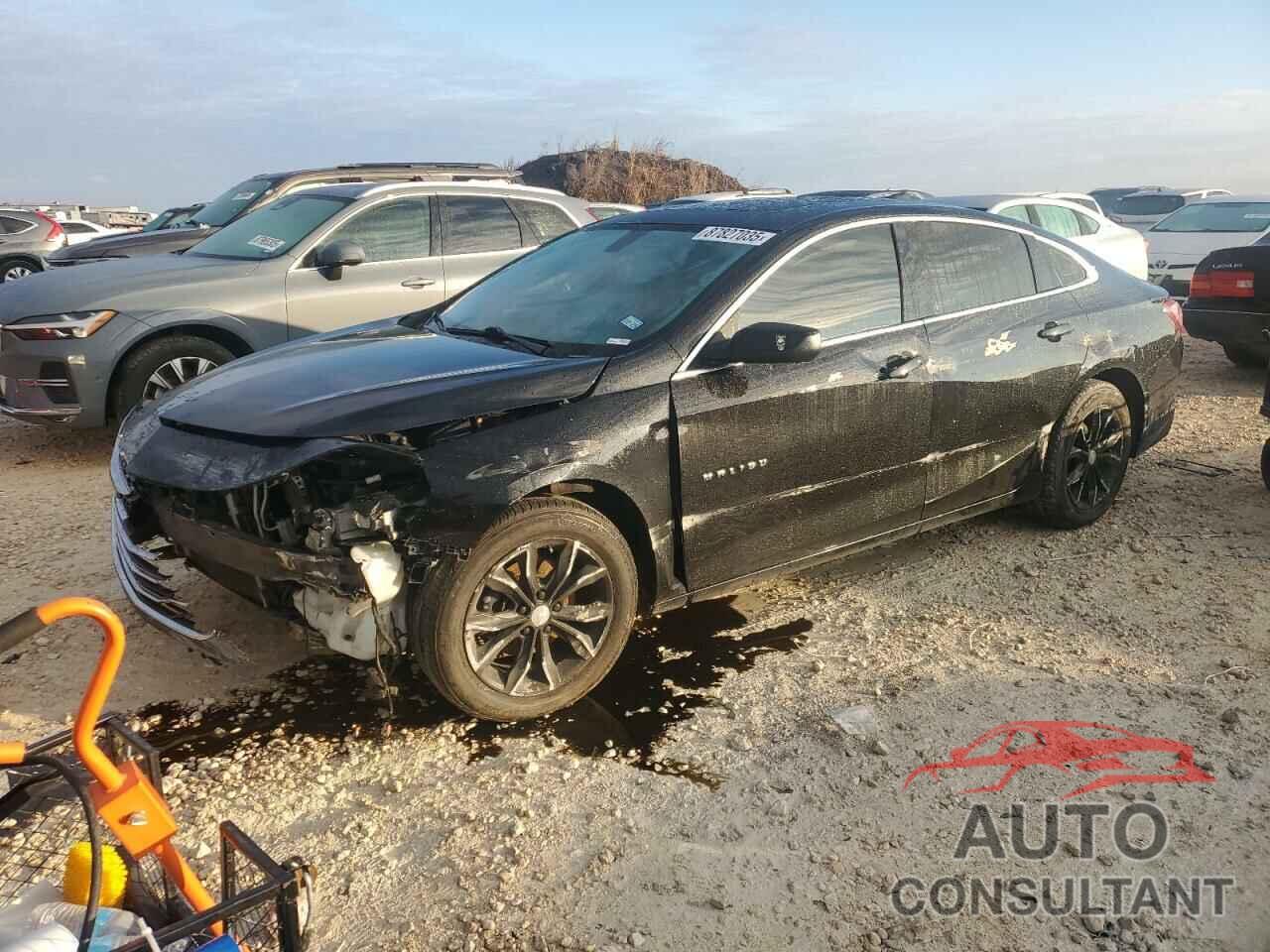 CHEVROLET MALIBU 2022 - 1G1ZD5ST3NF125894