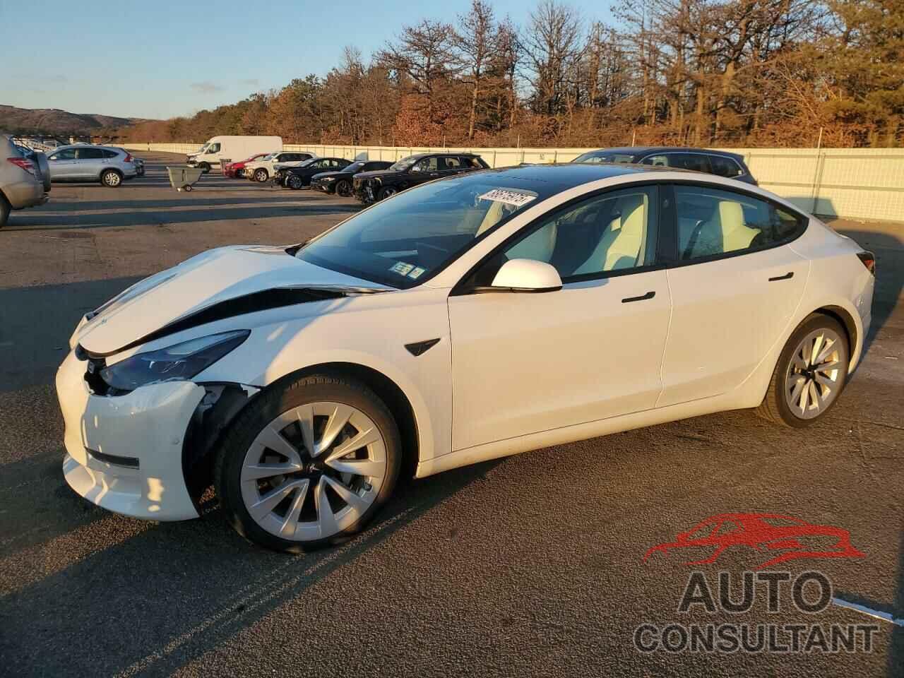 TESLA MODEL 3 2022 - 5YJ3E1EB3NF238271