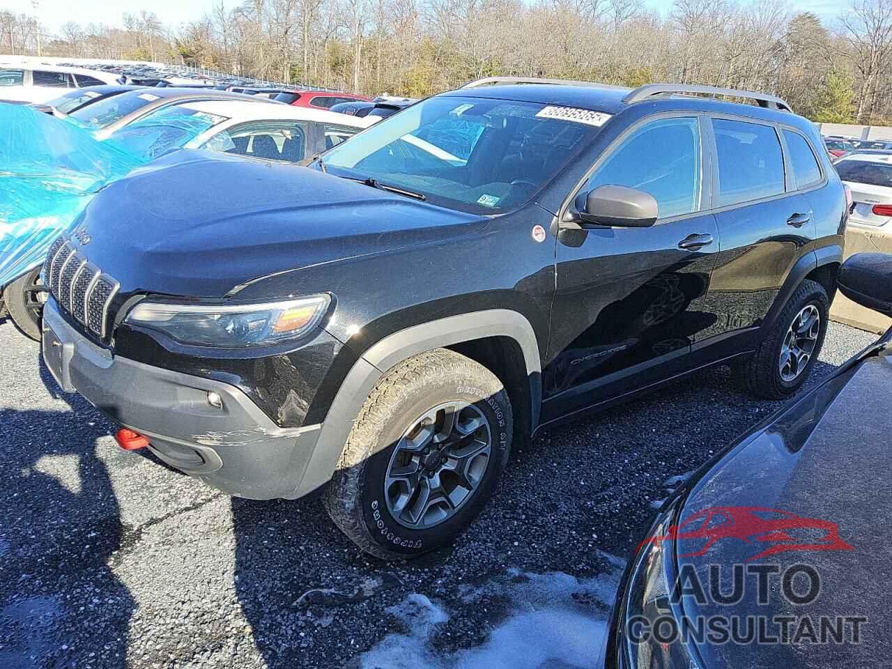 JEEP CHEROKEE 2020 - 1C4PJMBX4LD517280