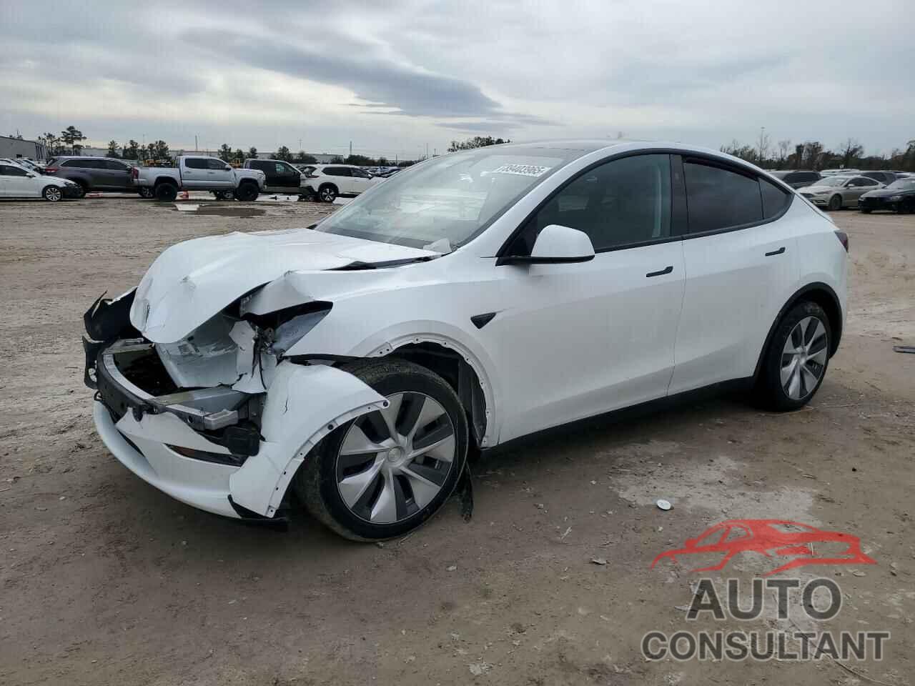 TESLA MODEL Y 2024 - 7SAYGDED4RF055537