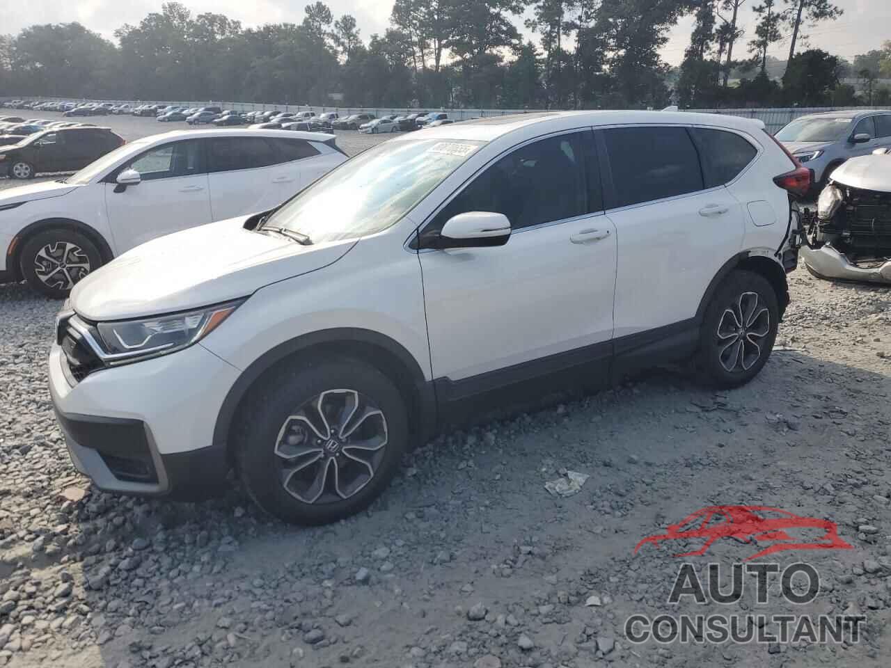 HONDA CRV 2022 - 2HKRW2H55NH652477