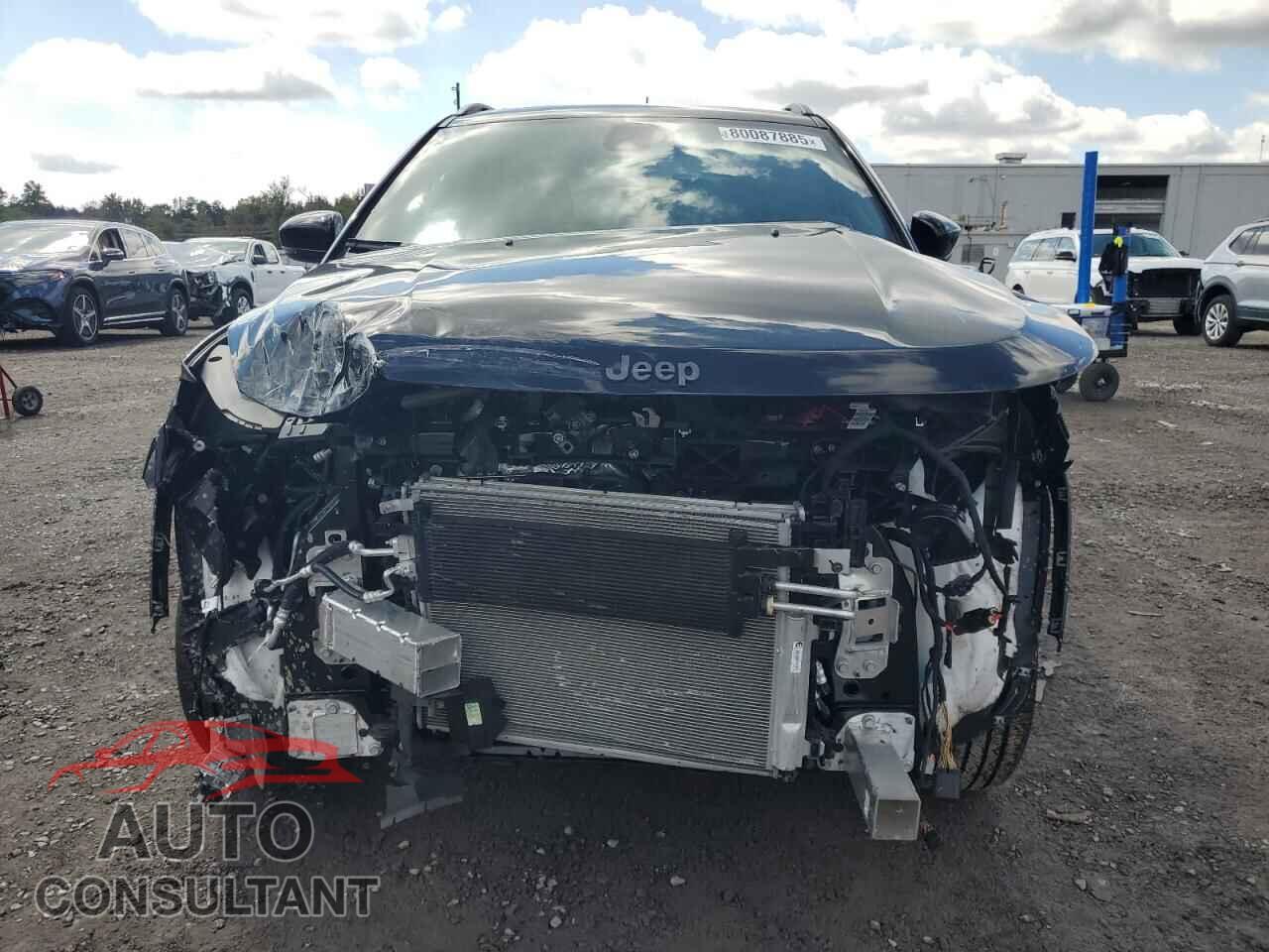 JEEP COMPASS 2024 - 3C4NJDCNXRT115156