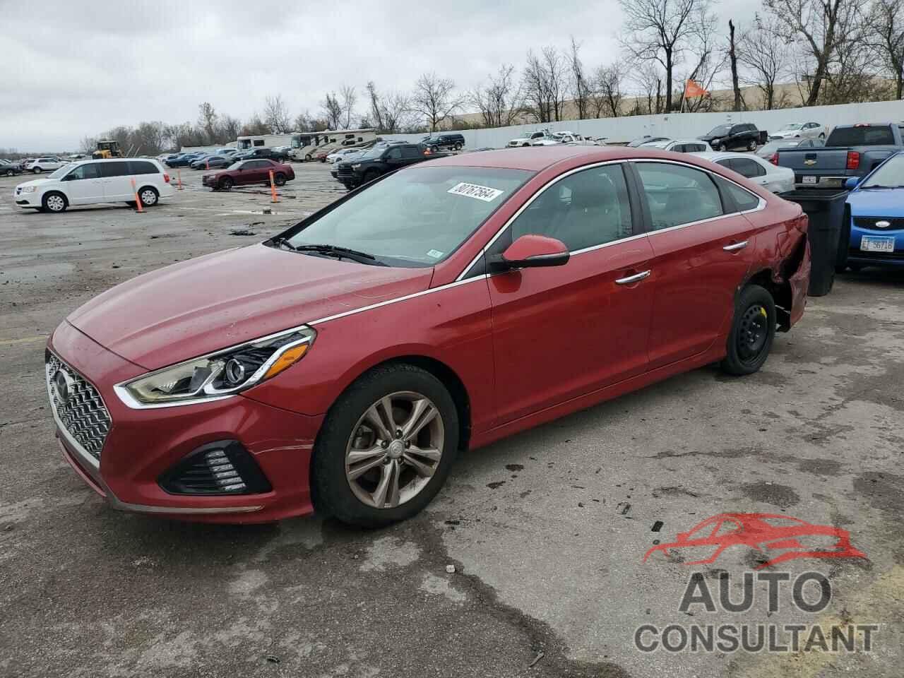 HYUNDAI SONATA 2019 - 5NPE34AF3KH784333