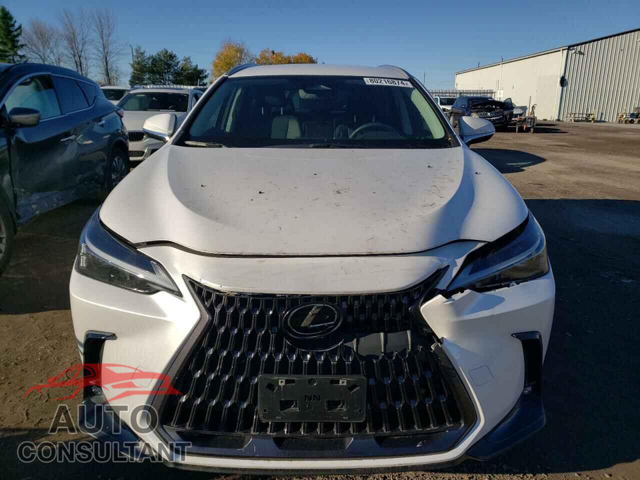 LEXUS NX 250 2023 - 2T2ADCEZ7PC003569