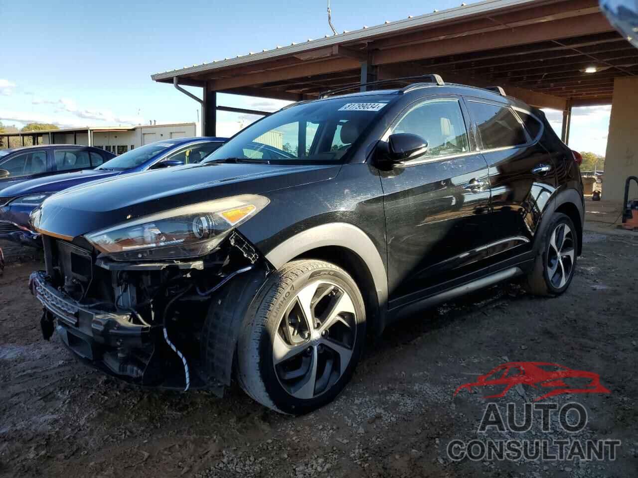 HYUNDAI TUCSON 2016 - KM8J3CA23GU243409