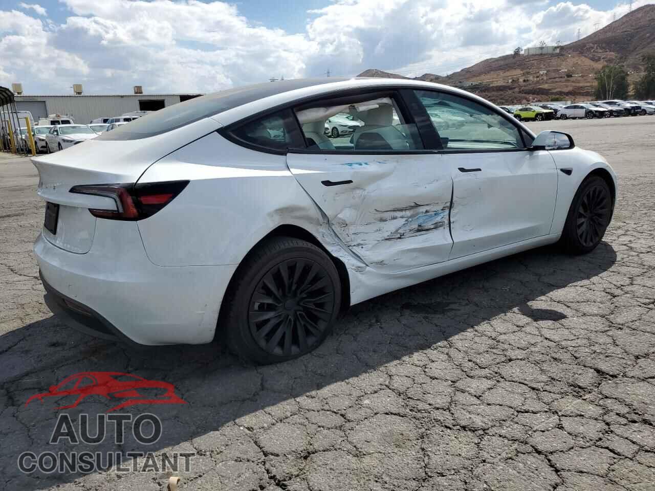 TESLA MODEL 3 2025 - 5YJ3E1EA3SF024285