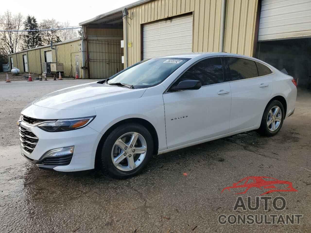 CHEVROLET MALIBU 2019 - 1G1ZB5ST5KF174337