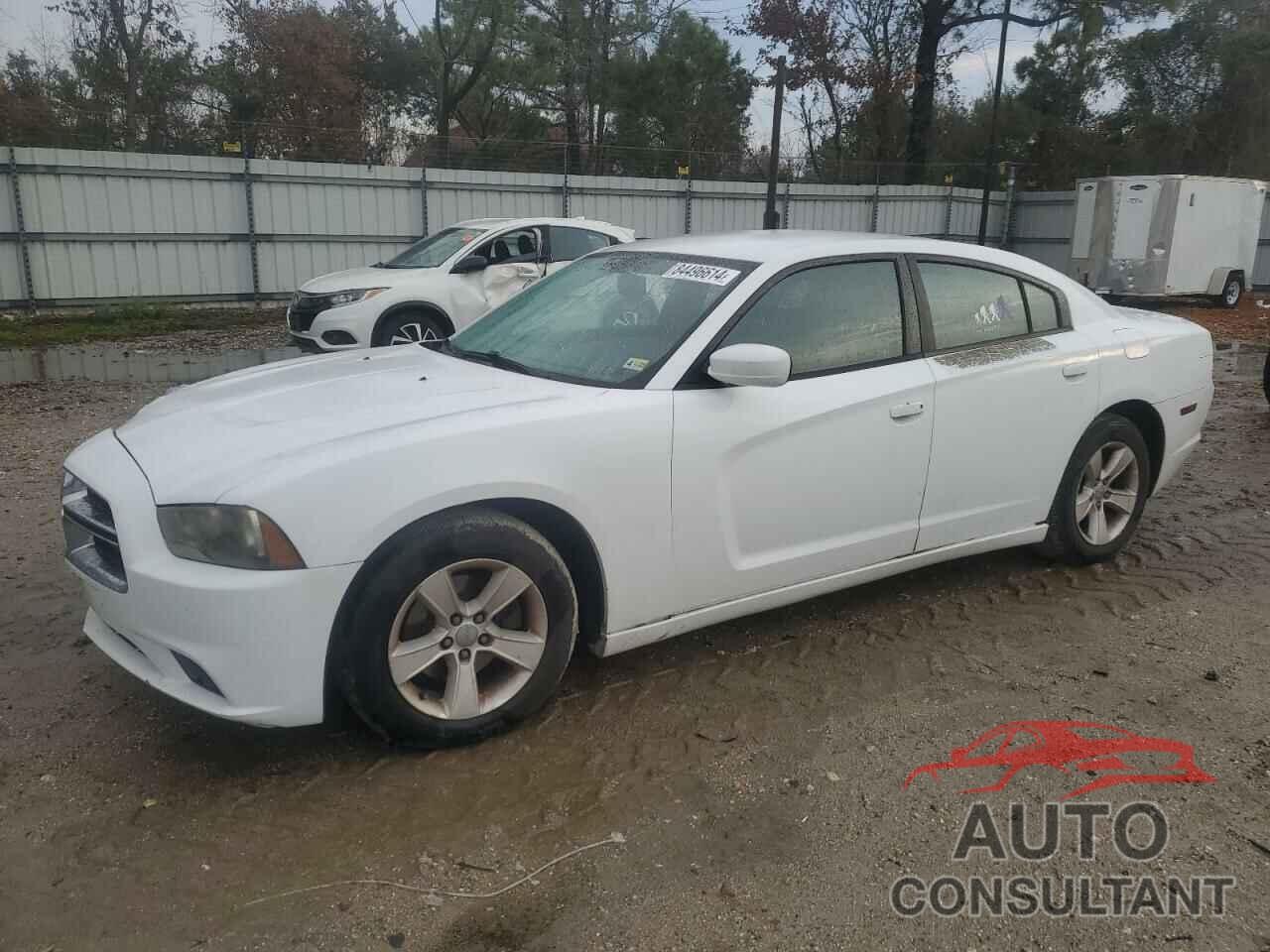 DODGE CHARGER 2013 - 2C3CDXHGXDH554325