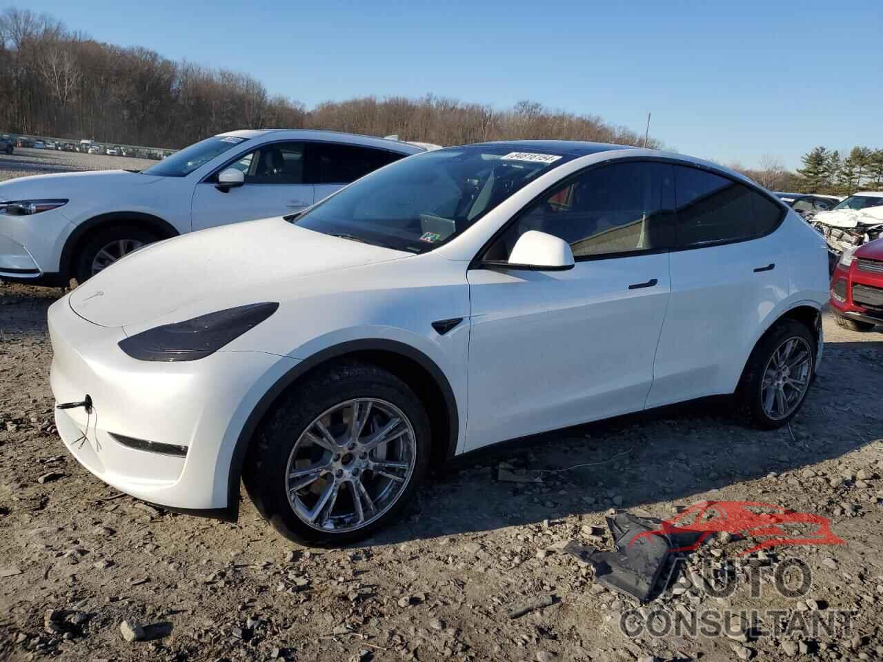 TESLA MODEL Y 2023 - 7SAYGDEE0PA123559