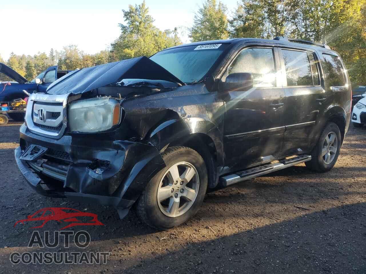 HONDA PILOT 2011 - 5FNYF4H44BB503308