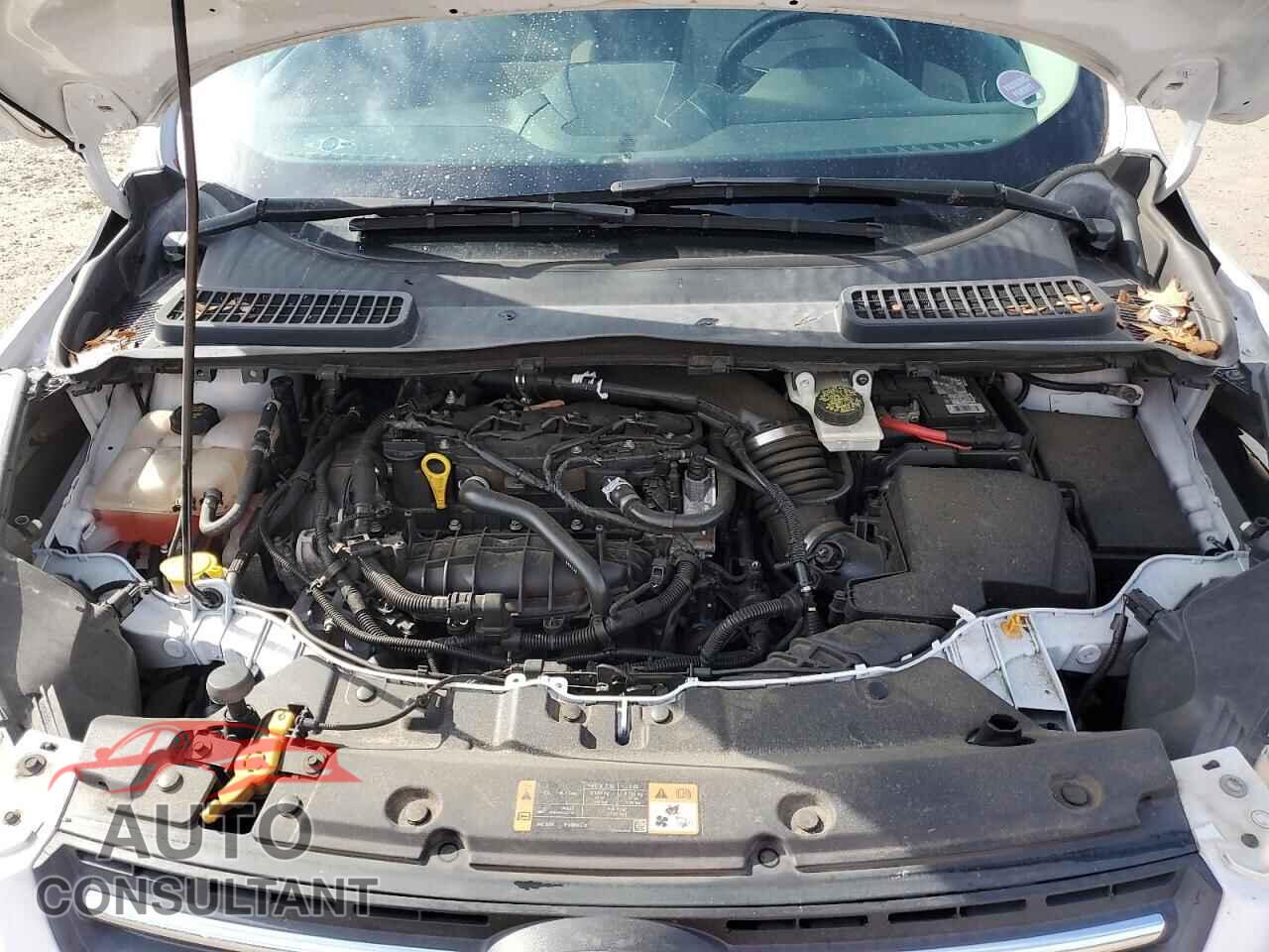FORD ESCAPE 2014 - 1FMCU9GX4EUA94484