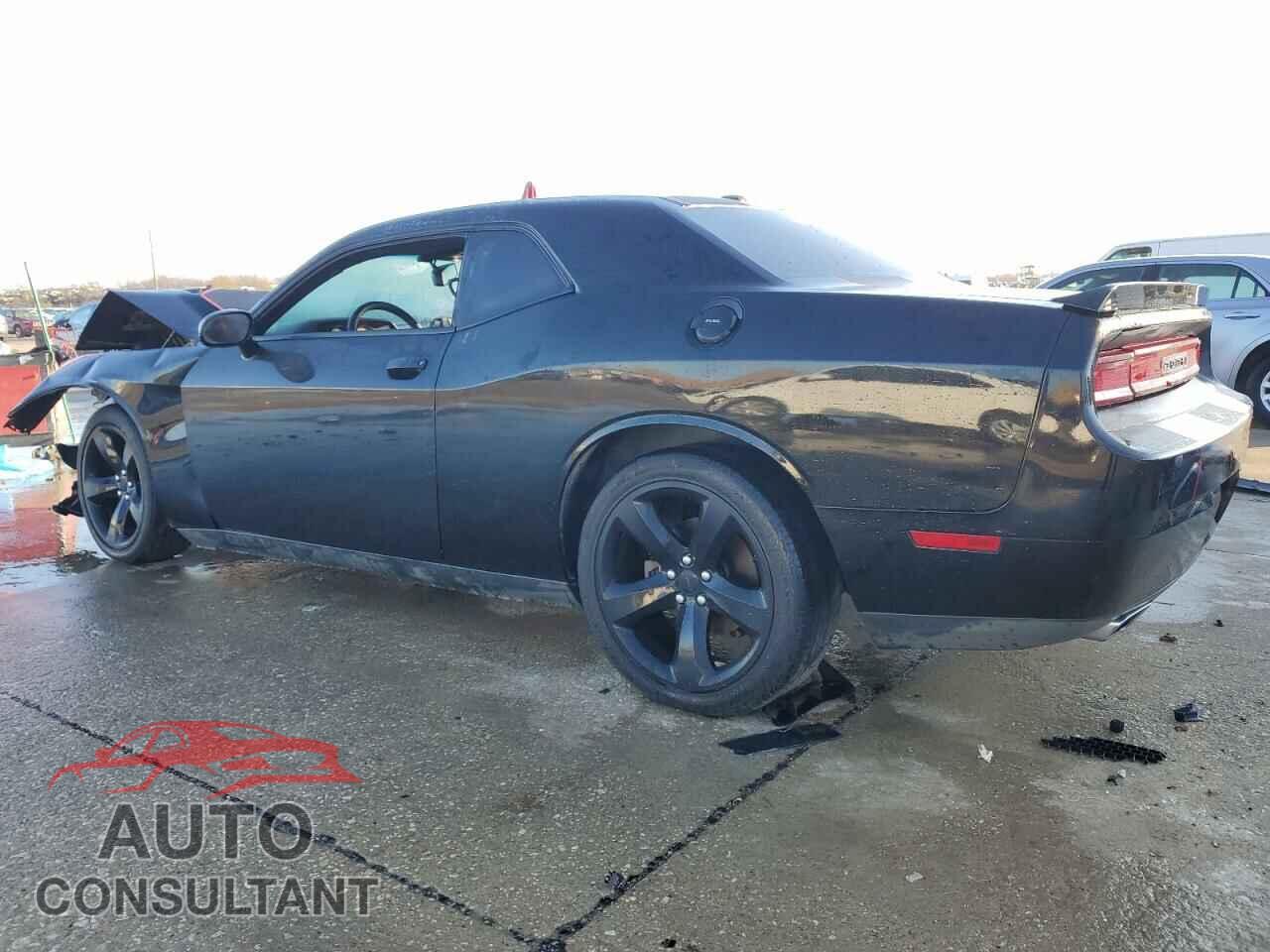 DODGE CHALLENGER 2013 - 2C3CDYBTXDH616253