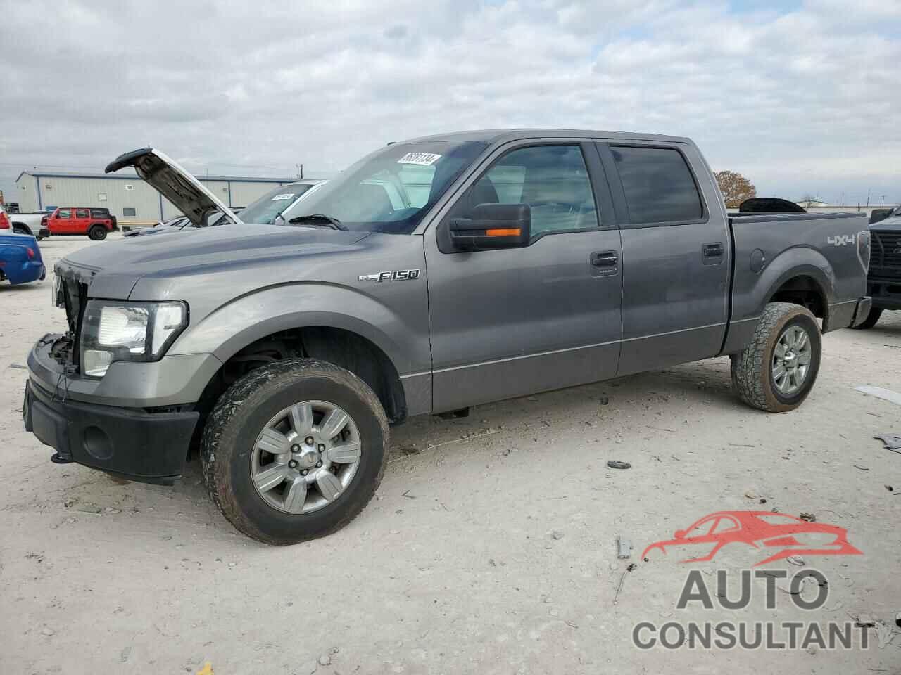 FORD F-150 2010 - 1FTFW1EV3AFB39699