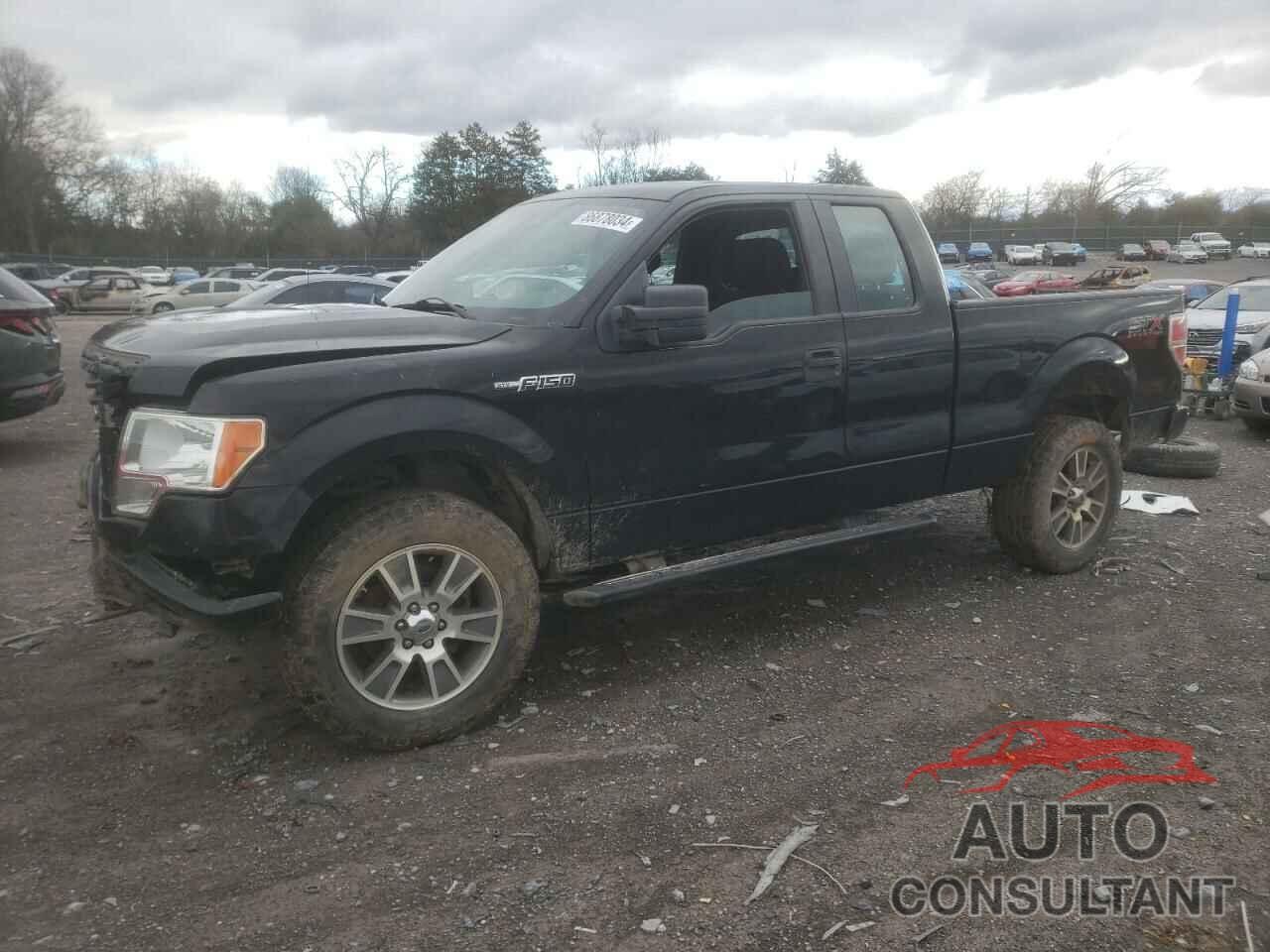 FORD F-150 2014 - 1FTFX1EF4EFB93850
