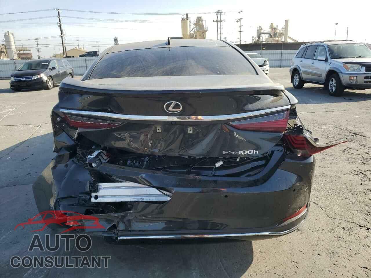 LEXUS ES300 2024 - 58ADA1C19RU053816