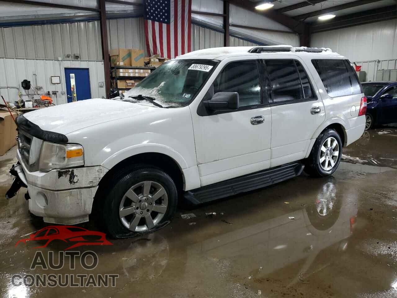 FORD EXPEDITION 2009 - 1FMFU16539EB10950