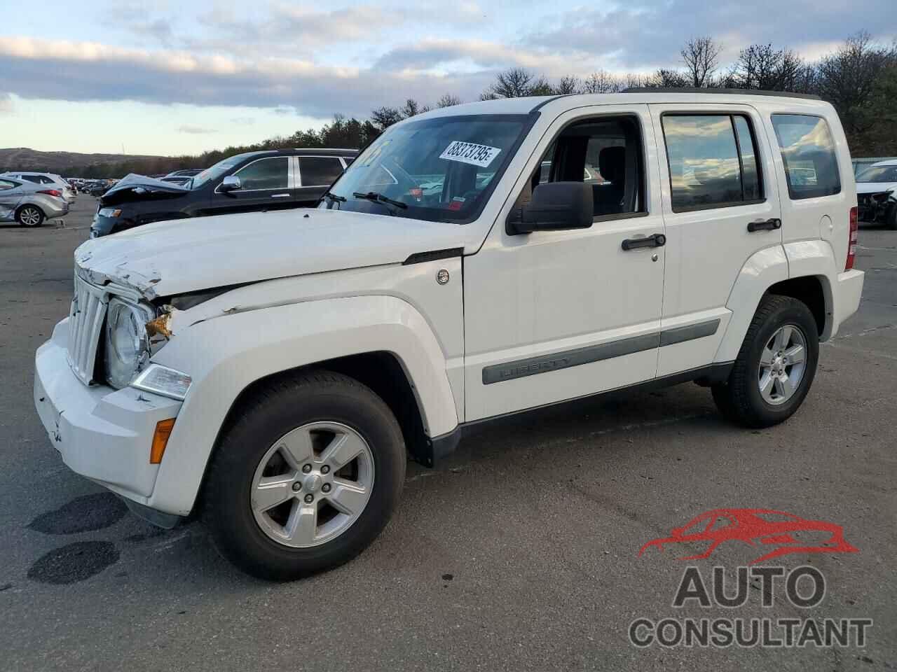 JEEP LIBERTY 2010 - 1J4PN2GK1AW142028