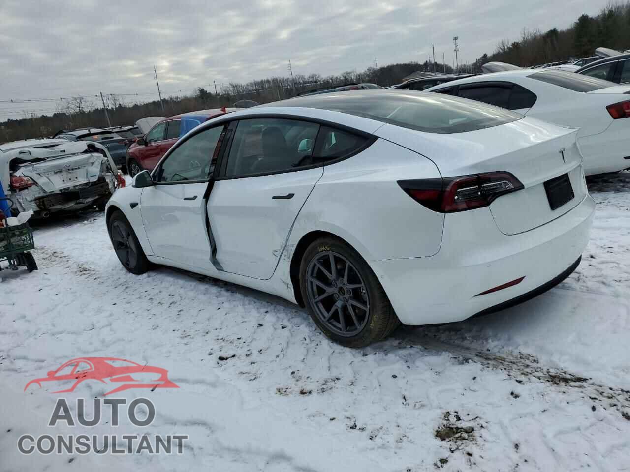 TESLA MODEL 3 2021 - 5YJ3E1EA3MF923487