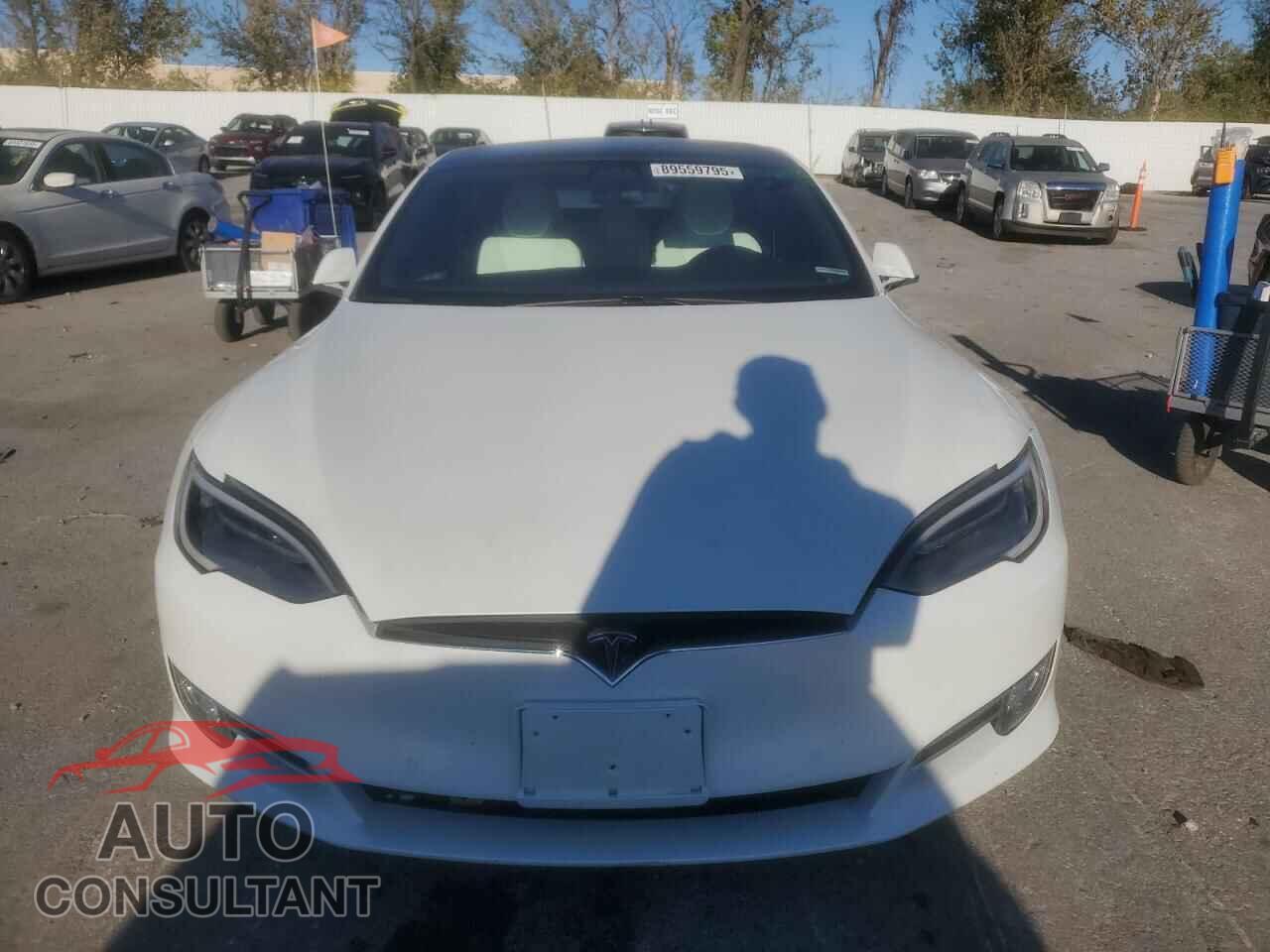 TESLA MODEL S 2019 - 5YJSA1E46KF313887