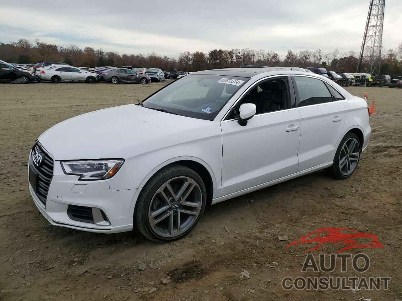 AUDI A3 2019 - WAUAUGFF2K1009175