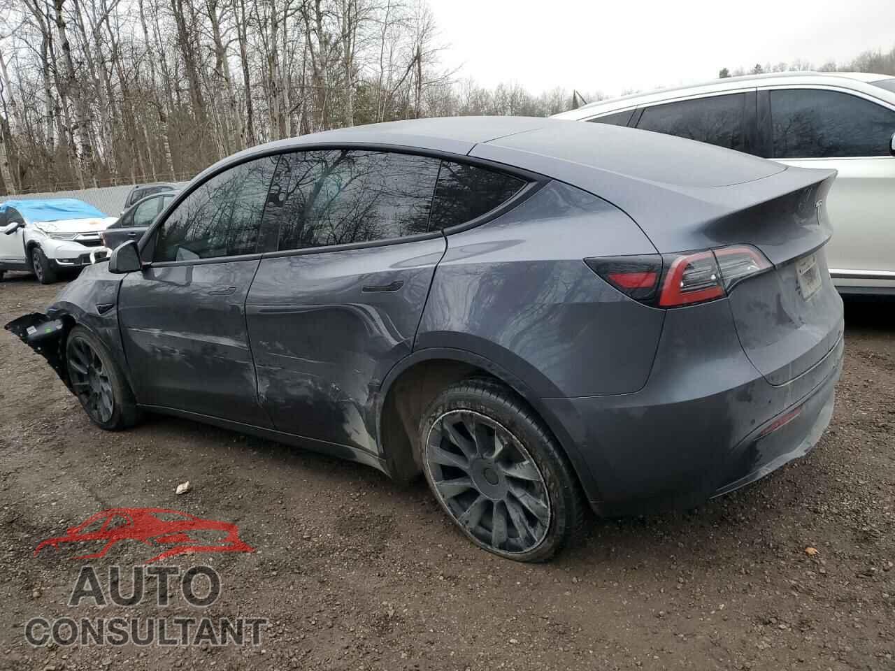 TESLA MODEL Y 2022 - 7SAYGDEE3NF506749