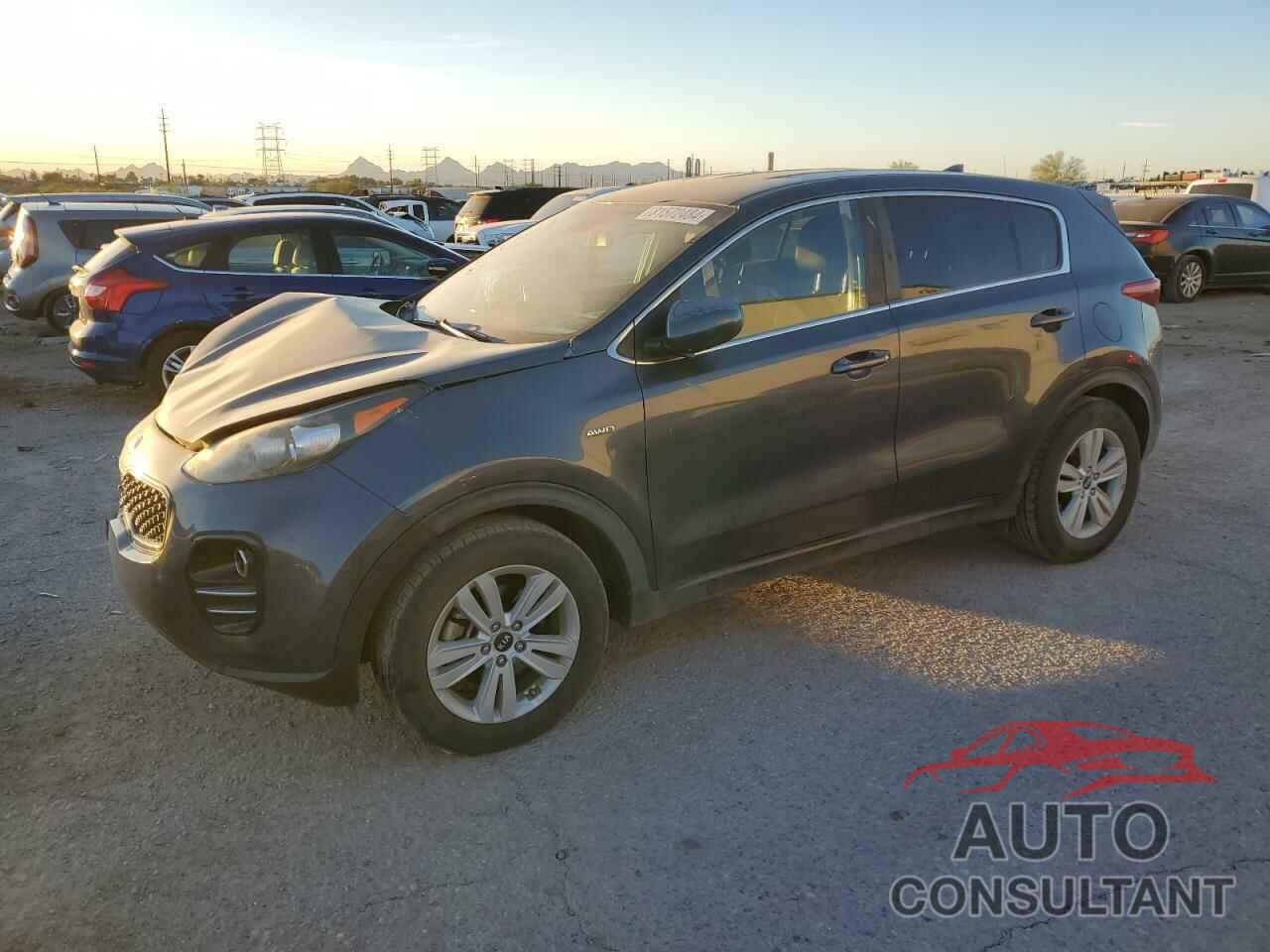 KIA SPORTAGE 2017 - KNDPMCAC6H7069839