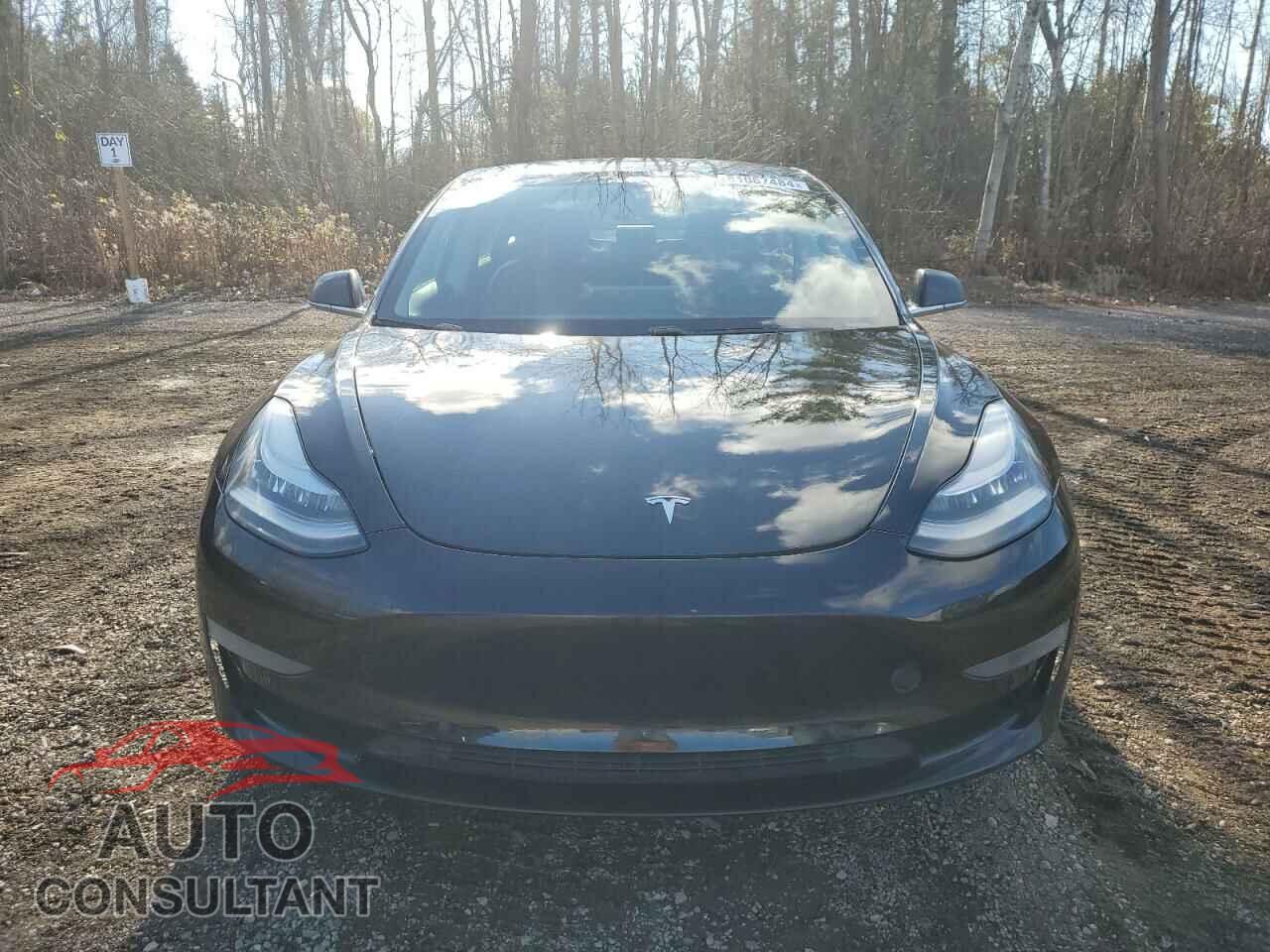 TESLA MODEL 3 2018 - 5YJ3E1EB5JF126811