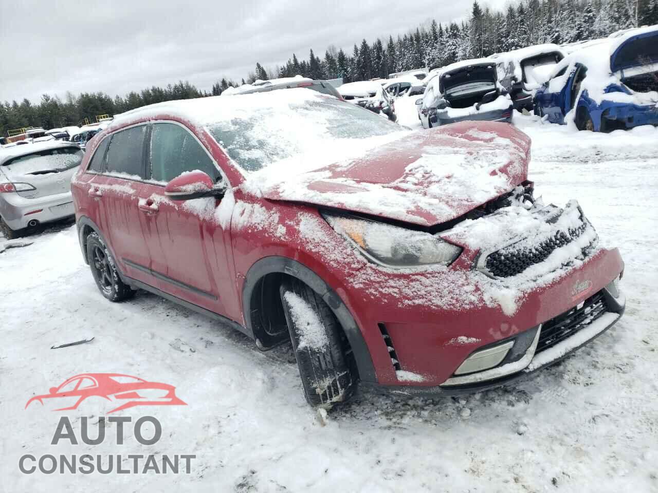 KIA NIRO 2017 - KNDCC3LC3H5060932