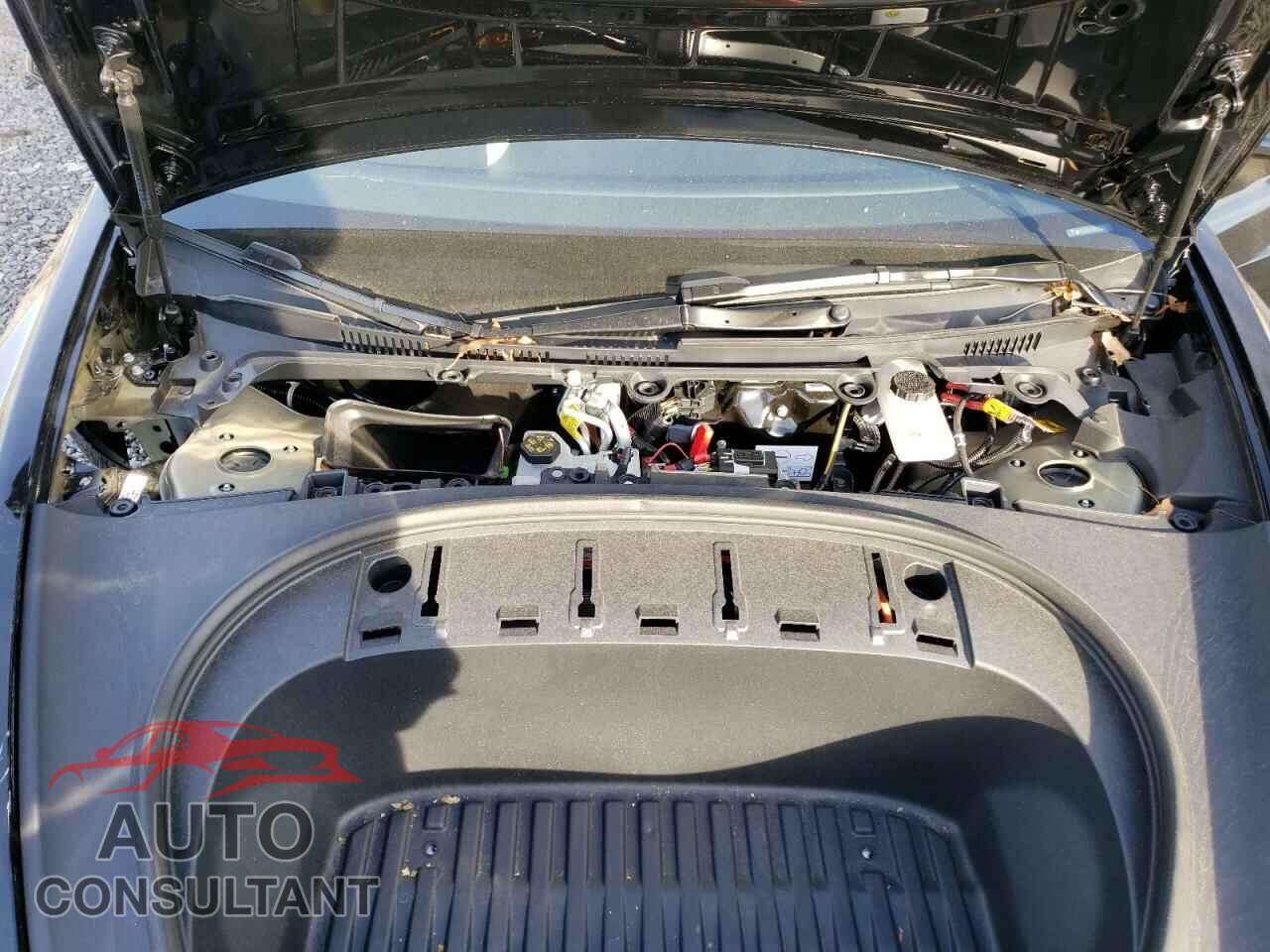 TESLA MODEL 3 2024 - 5YJ3E1EA0RF772132