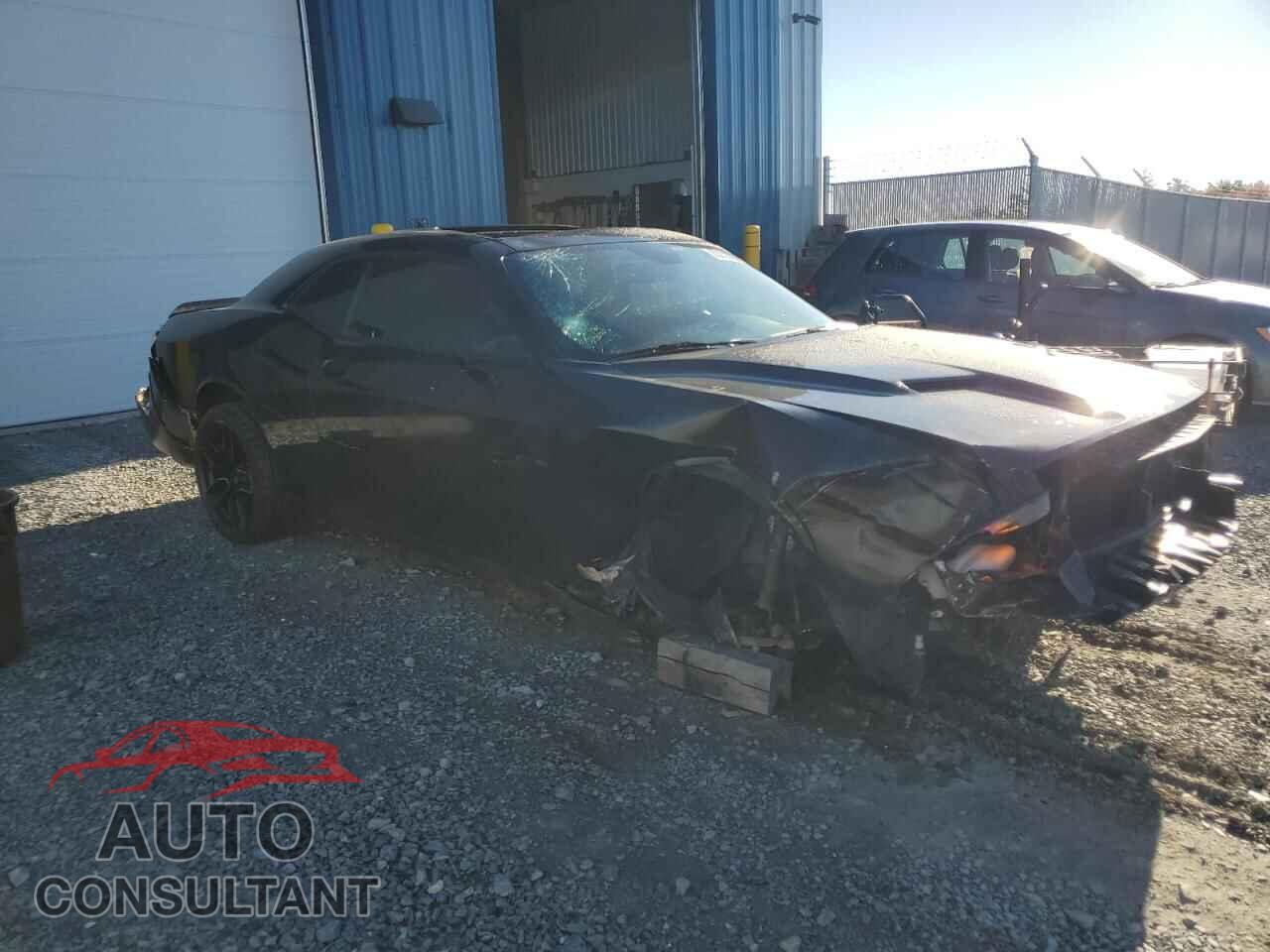 DODGE CHALLENGER 2019 - 2C3CDZAG5KH595738