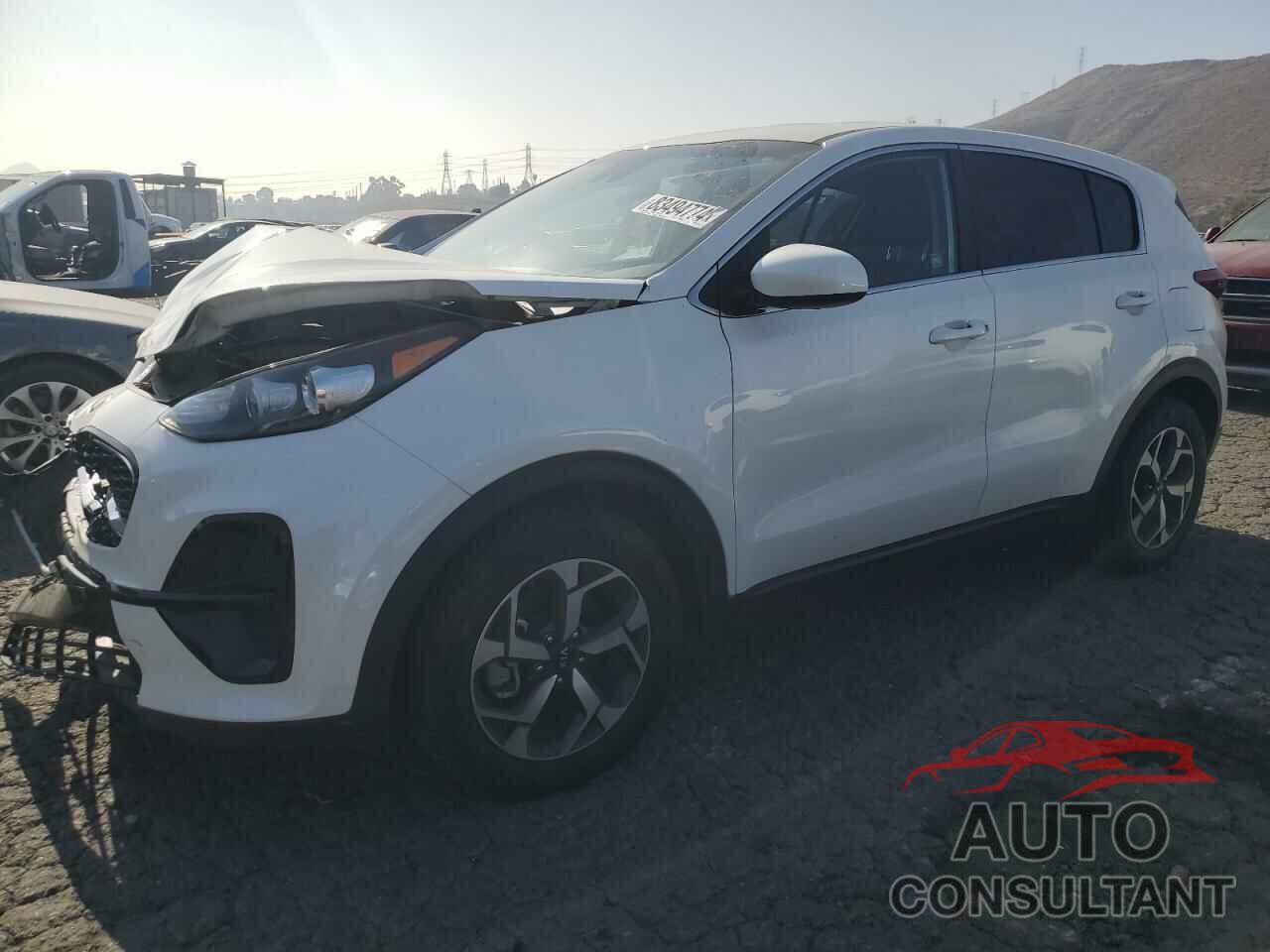 KIA SPORTAGE 2022 - KNDPM3AC3N7021582