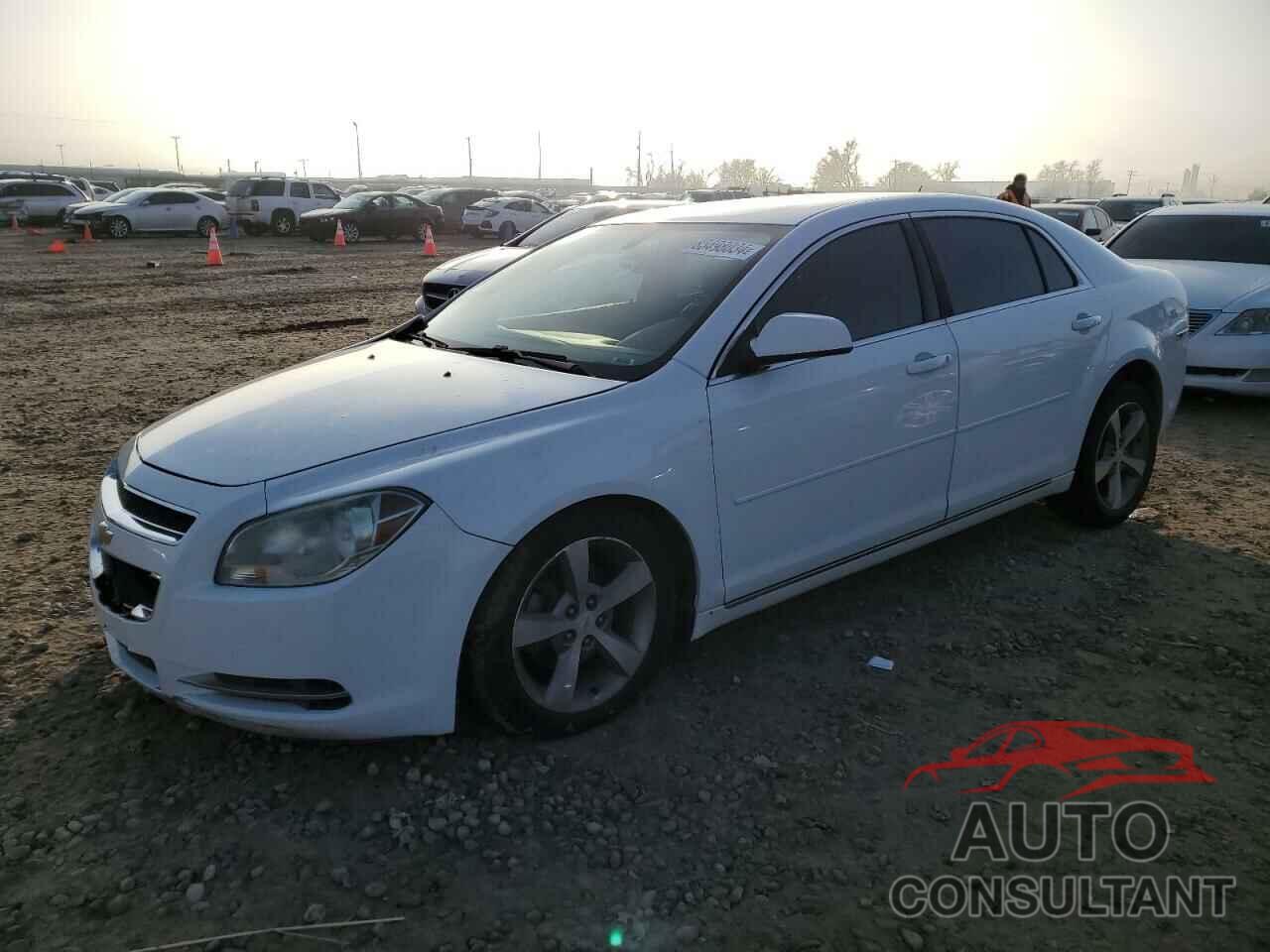 CHEVROLET MALIBU 2009 - 1G1ZJ57B694179149