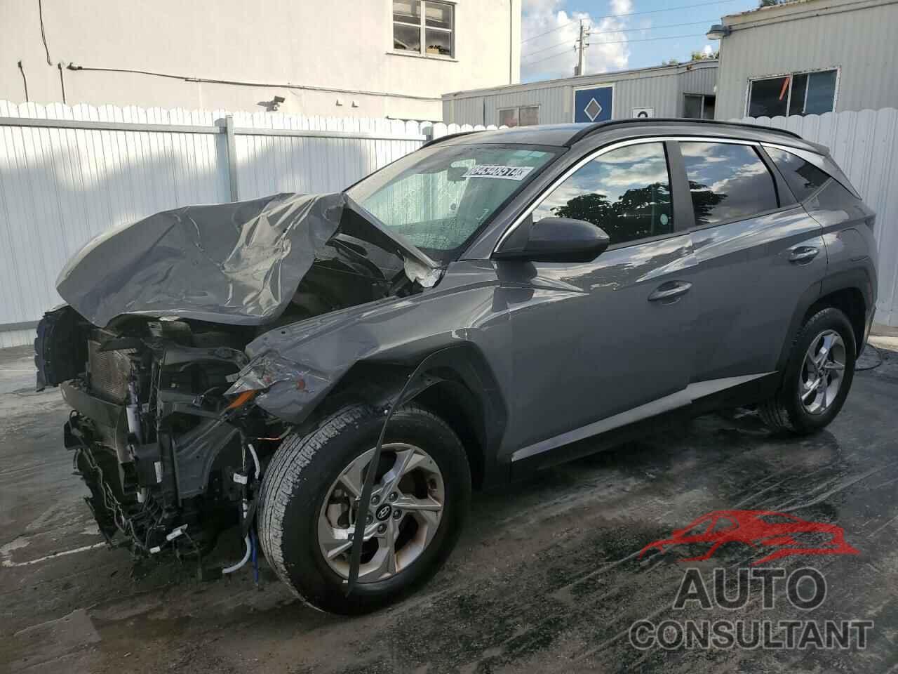 HYUNDAI TUCSON 2024 - 5NMJBCDEXRH323913