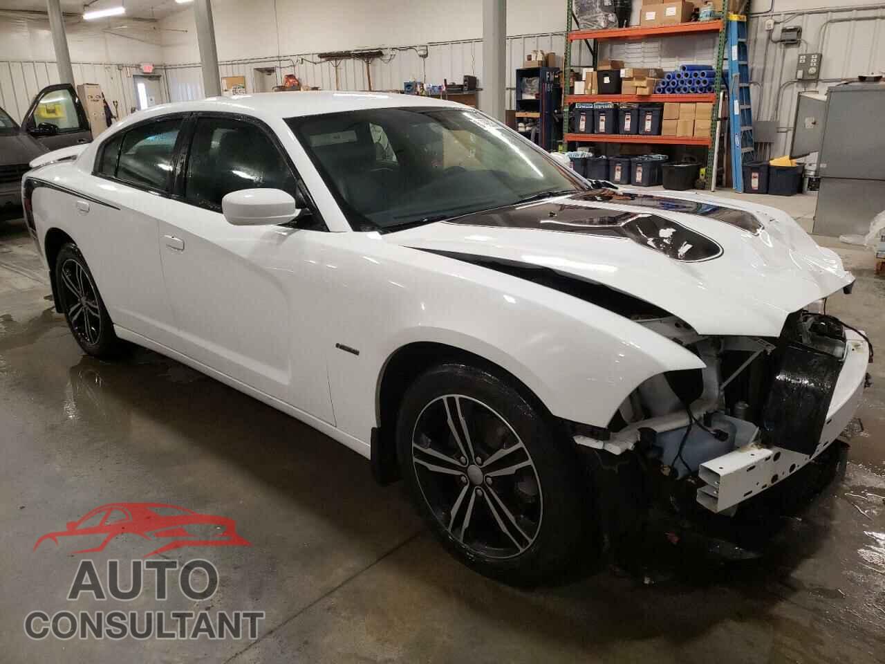 DODGE CHARGER 2013 - 2C3CDXDT1DH619789