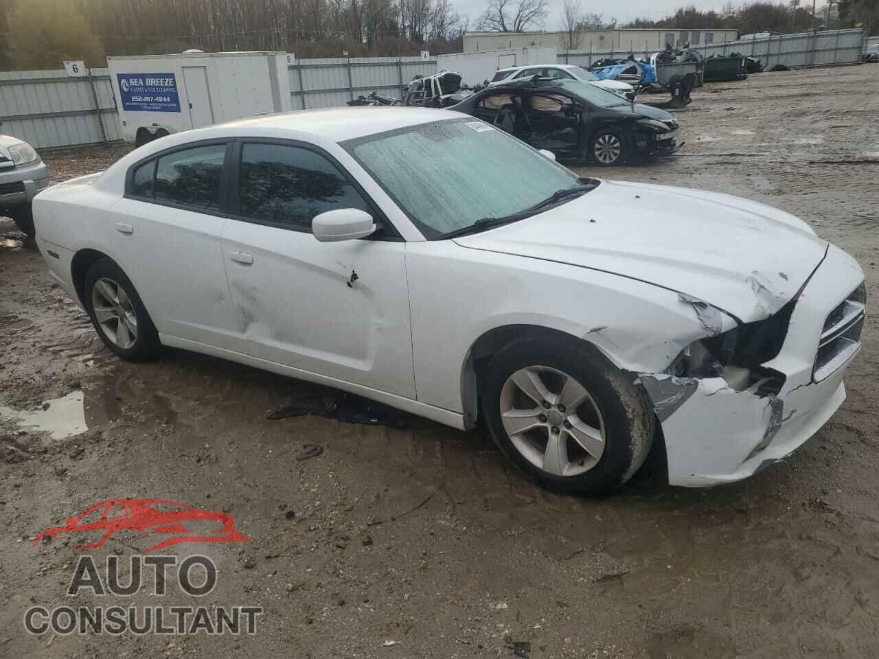 DODGE CHARGER 2013 - 2C3CDXHGXDH554325