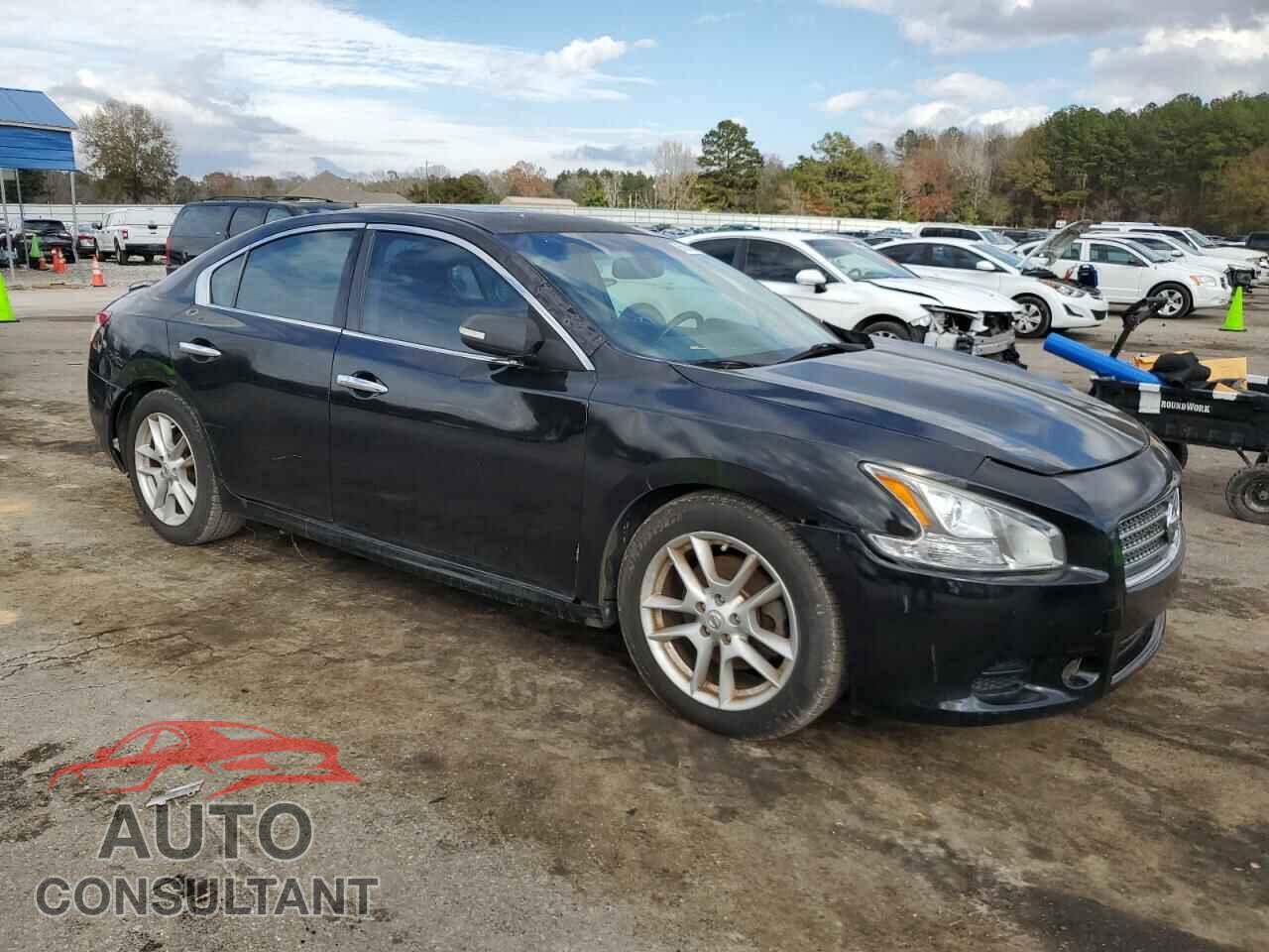 NISSAN MAXIMA 2009 - 1N4AA51E89C829196