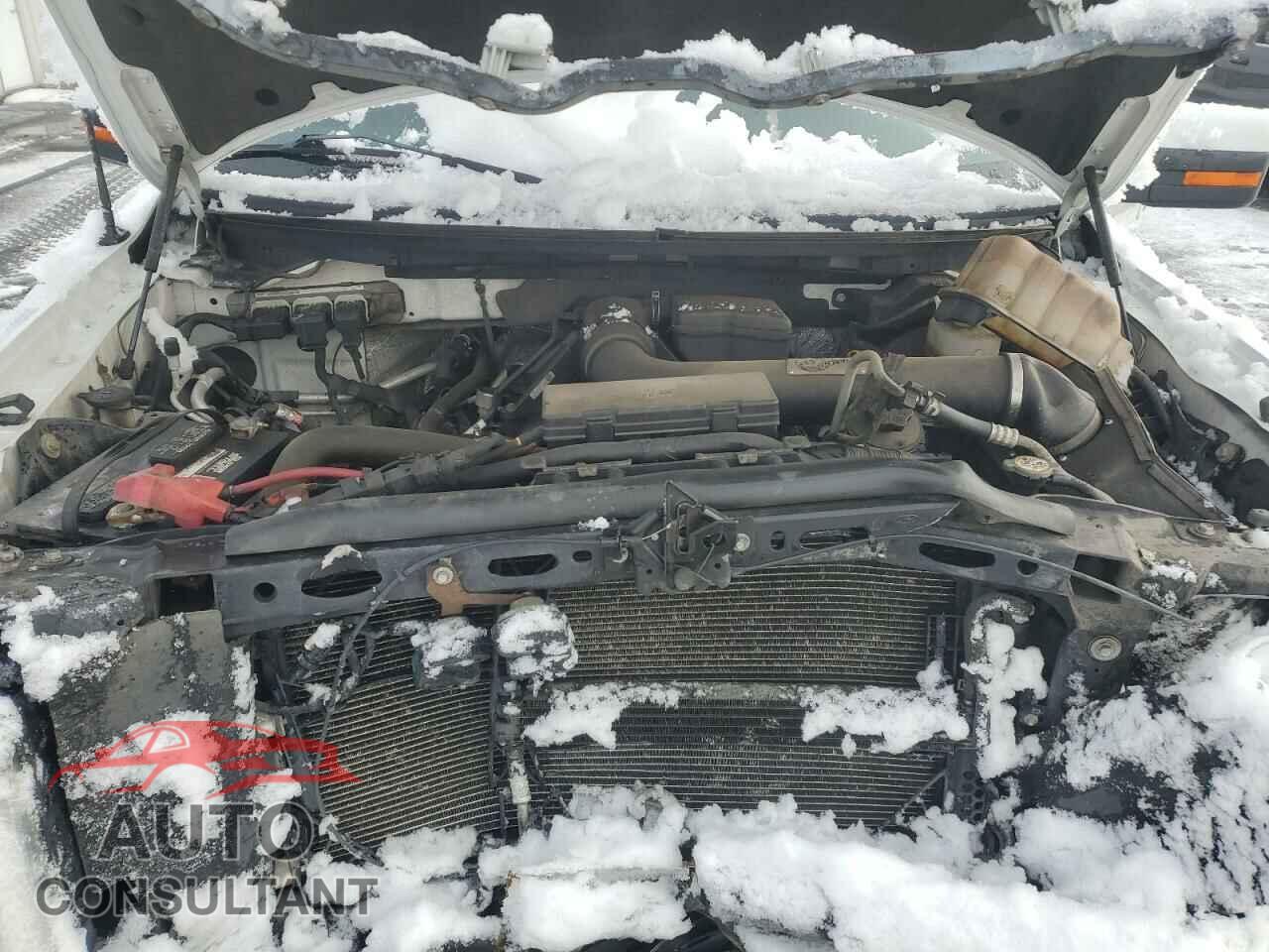 FORD F-150 2010 - 1FTFW1EV2AFD36251