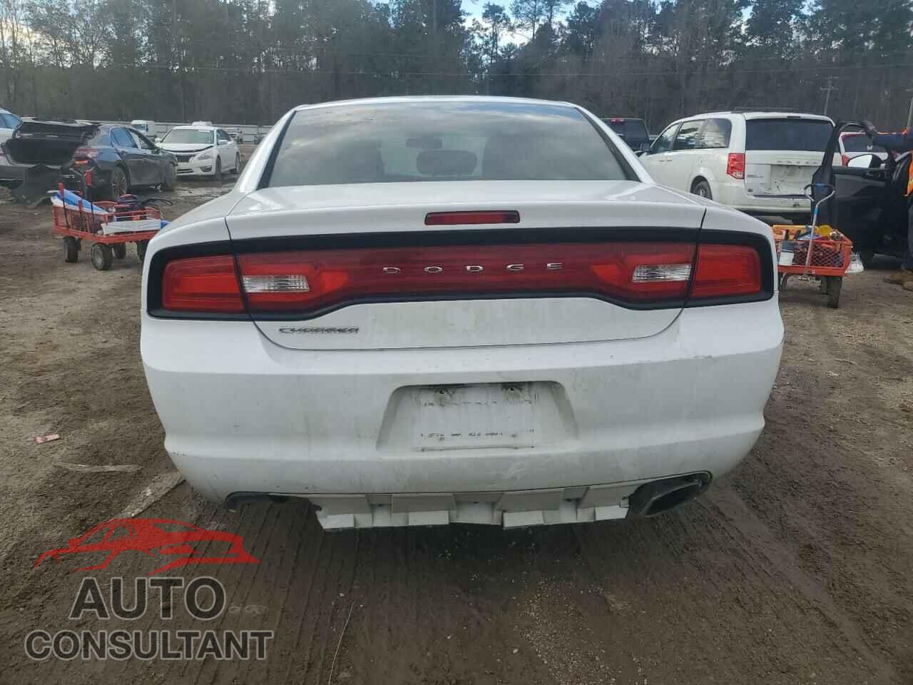 DODGE CHARGER 2013 - 2C3CDXBG9DH730001