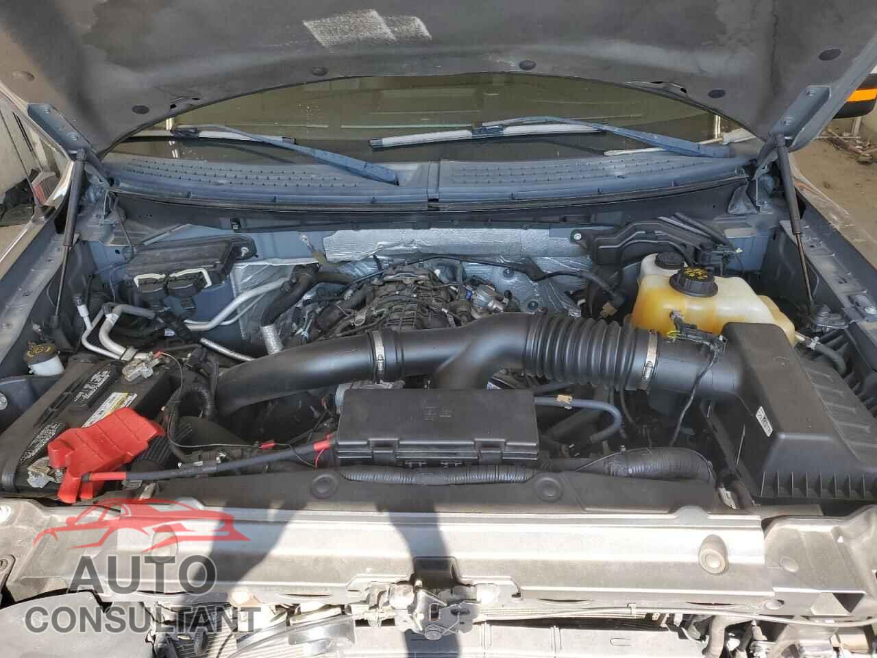 FORD F-150 2013 - 1FTFW1ET5DFD74768