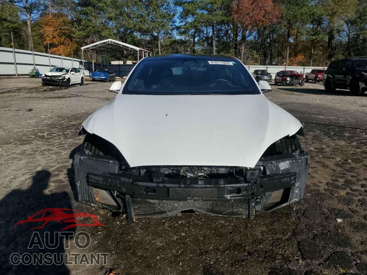 TESLA MODEL S 2017 - 5YJSA1E25HF198822