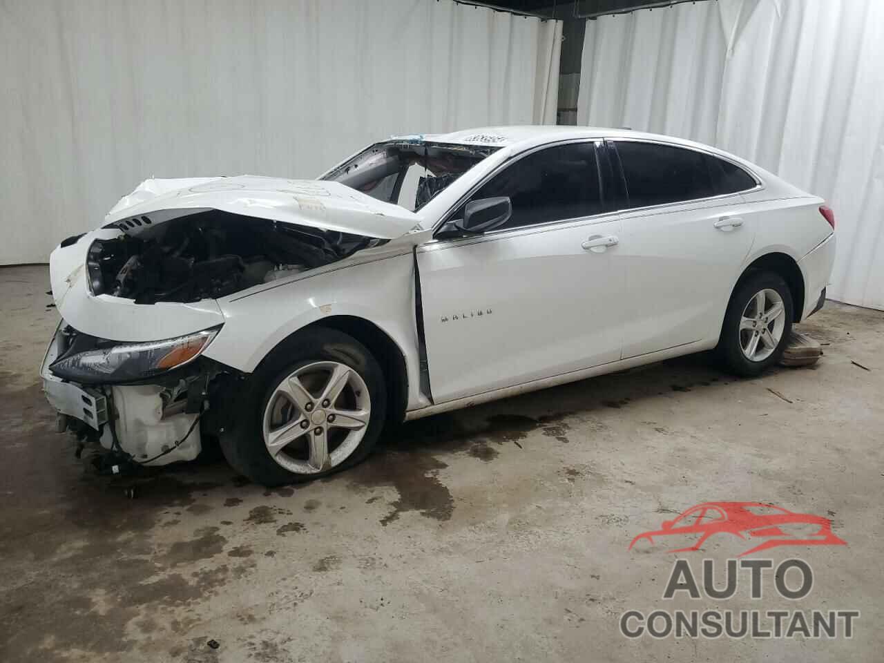 CHEVROLET MALIBU 2019 - 1G1ZB5ST9KF207338