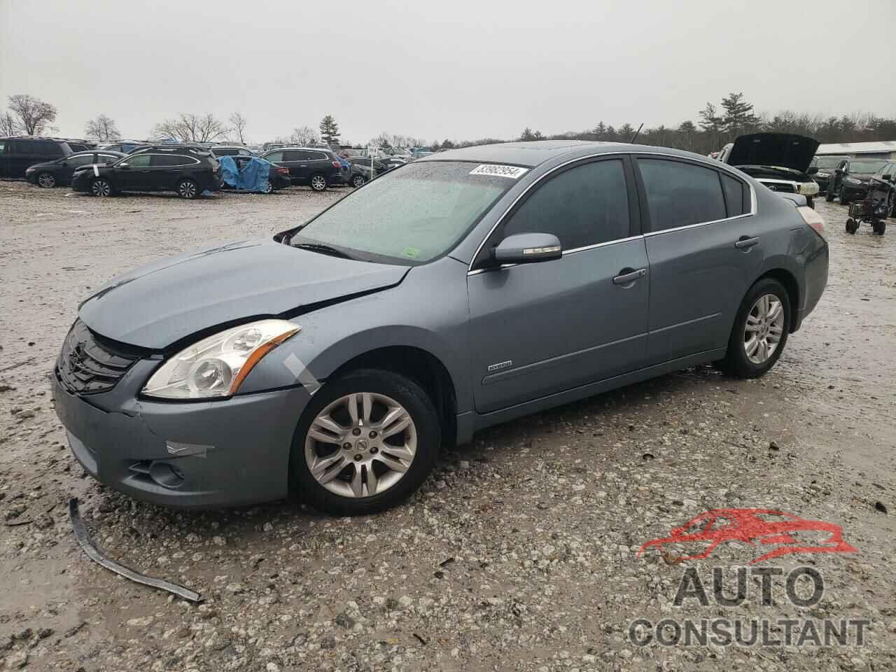NISSAN ALTIMA 2010 - 1N4CL2AP5AC175636