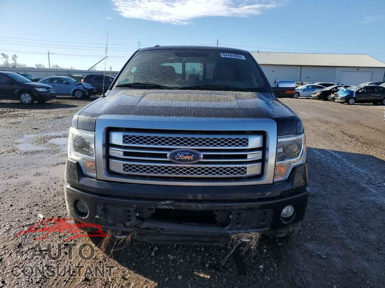 FORD F-150 2013 - 1FTFW1ET8DFD11292