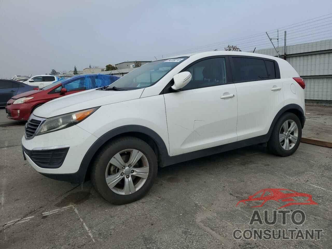 KIA SPORTAGE 2013 - KNDPB3A22D7398433