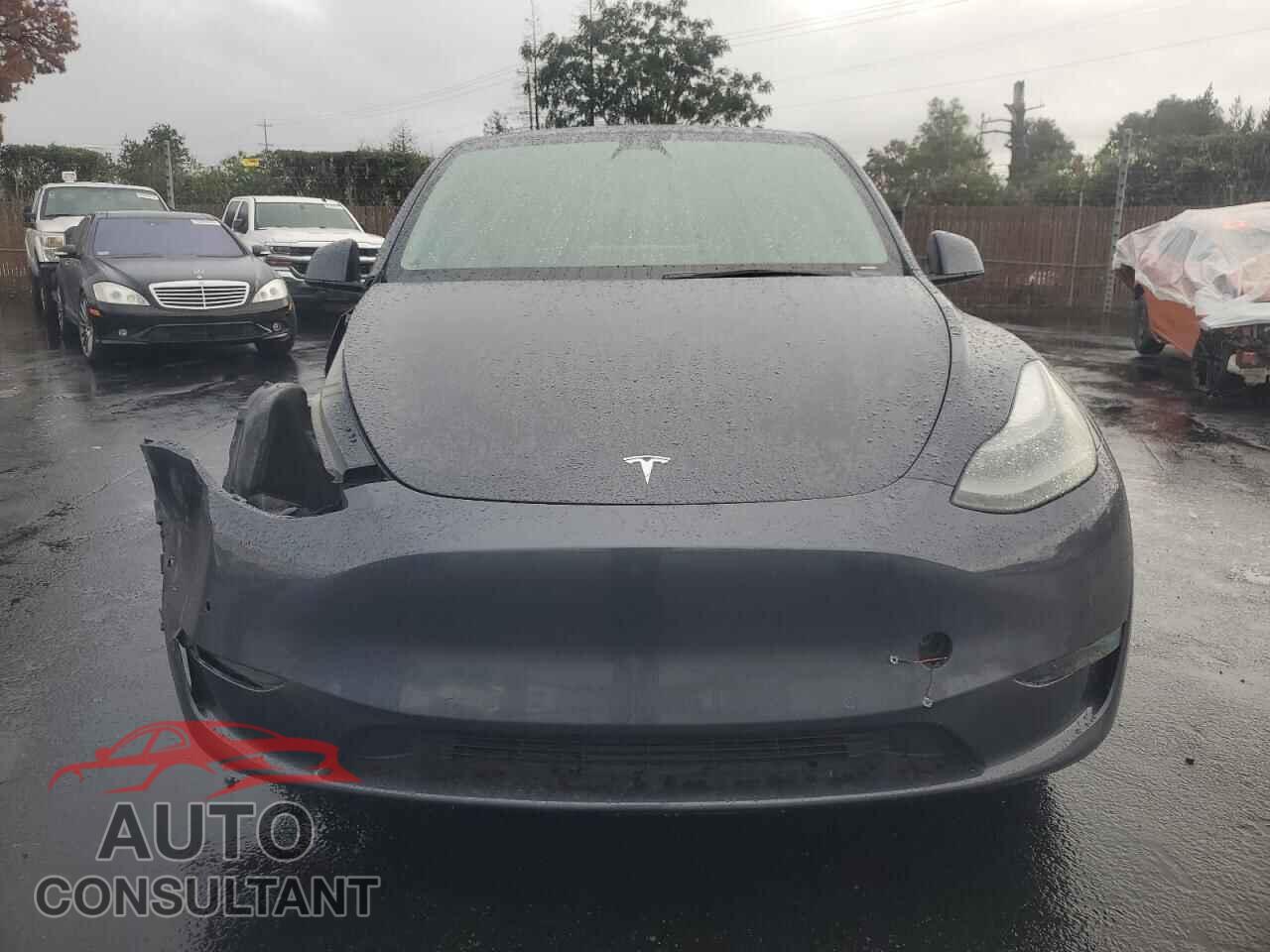 TESLA MODEL Y 2022 - 7SAYGDEE4NF559377