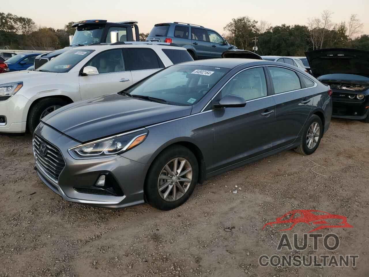 HYUNDAI SONATA 2019 - 5NPE24AF6KH791392