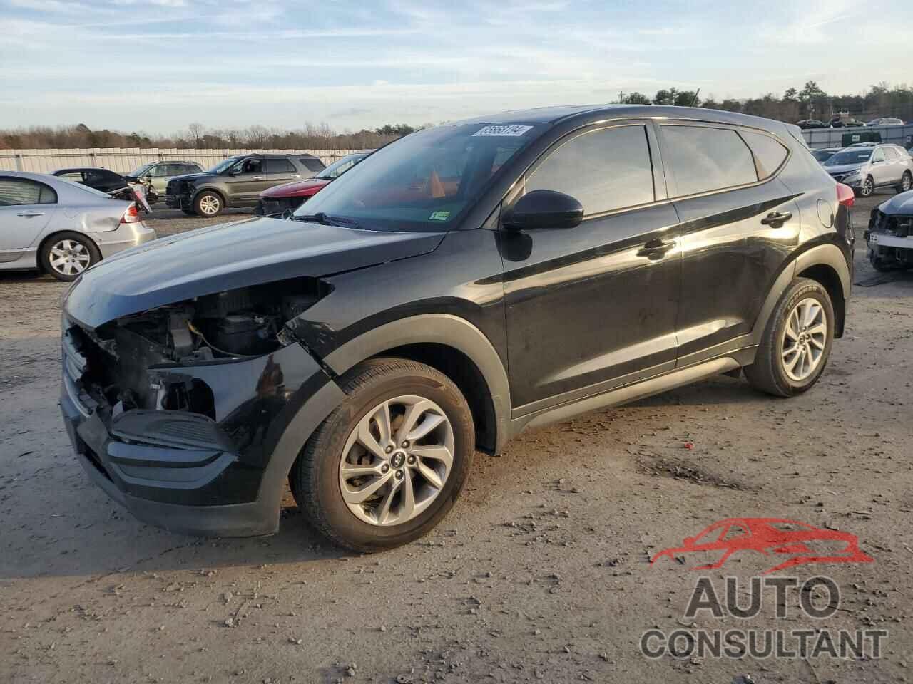 HYUNDAI TUCSON 2016 - KM8J23A44GU041926