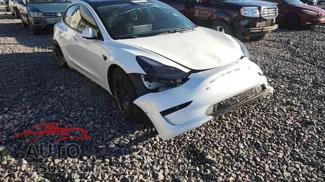 TESLA MODEL 3 2021 - 5YJ3E1EC3MF025781